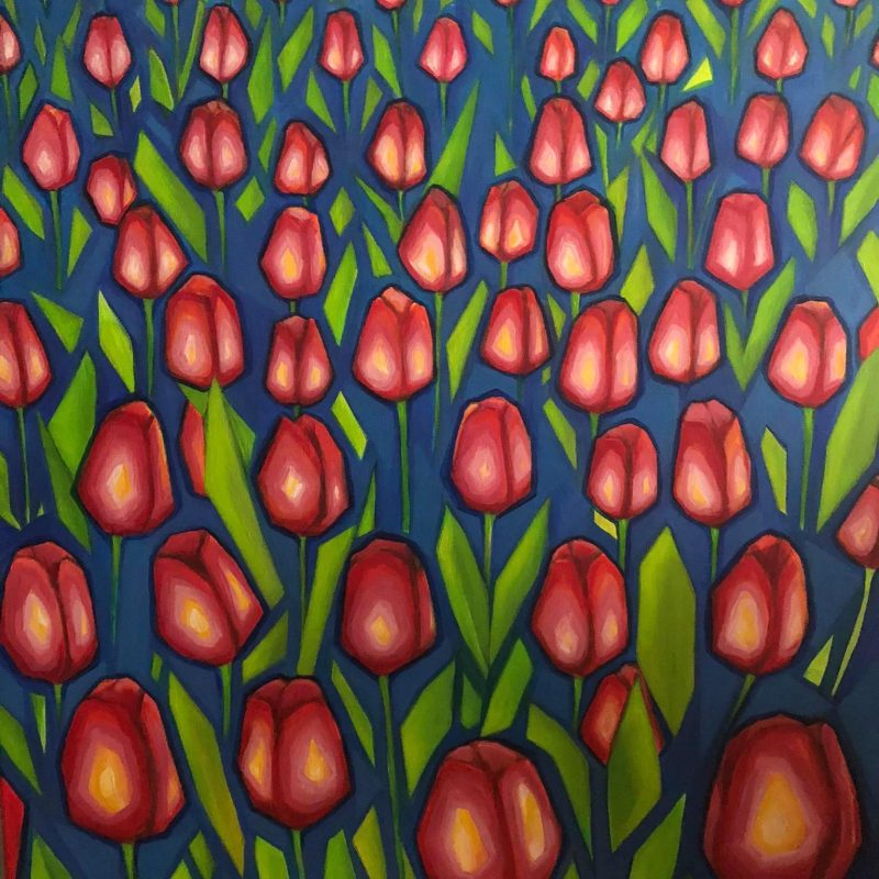Tulipany, Tulipany